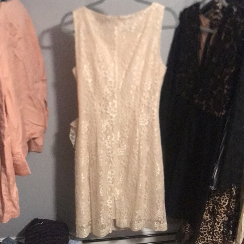 Tahari - Picture 3 of 3